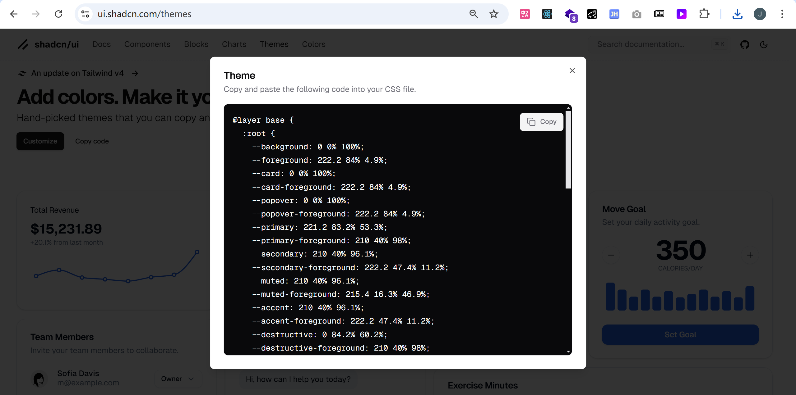 5-5-shadcn-theme-code.png